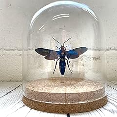 Butterfly man giant for sale  Delivered anywhere in UK