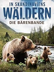 Skandinaviens wäldern bärenb gebraucht kaufen  Wird an jeden Ort in Deutschland