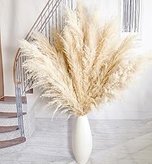 10pcs pampas grass for sale  Delivered anywhere in USA 