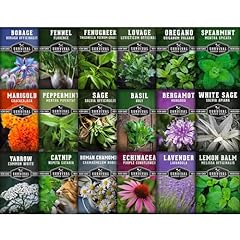 Medicinal herb seed for sale  Delivered anywhere in USA 