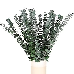 Hiagrow real eucalyptus for sale  Delivered anywhere in USA 