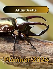 Atlas beetle planner for sale  Delivered anywhere in UK