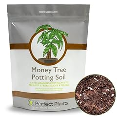 Perfect plants money for sale  Delivered anywhere in USA 