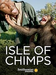 Isle chimps for sale  Delivered anywhere in USA 