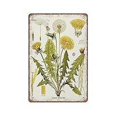 Stampa vintage base usato  Spedito ovunque in Italia 