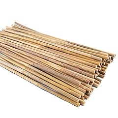 50pcs garden stakes for sale  Delivered anywhere in USA 