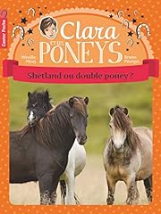 Shetland double poney d'occasion  Livré partout en France