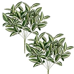 Dilatata artificial plants for sale  Delivered anywhere in USA 