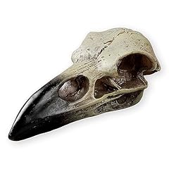 Halloween raven skull for sale  Delivered anywhere in USA 