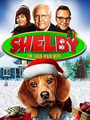 Shelby chien nöel d'occasion  Livré partout en France
