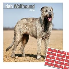 Irish wolfhound calendar for sale  Delivered anywhere in Ireland
