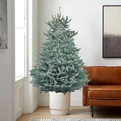 Christmas tree blue for sale  Delivered anywhere in UK