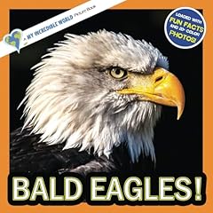 Bald eagles incredible for sale  Delivered anywhere in USA 