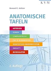Anatomische tafeln arterien gebraucht kaufen  Wird an jeden Ort in Deutschland