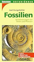 Fossilien versteinerungen tier gebraucht kaufen  Wird an jeden Ort in Deutschland