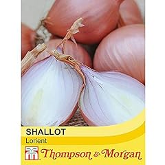 Shallot lorient packet for sale  Delivered anywhere in UK