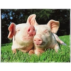 Blanket comfort warmth for sale  Delivered anywhere in USA 