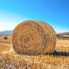 Peutier balle fieno usato  Spedito ovunque in Italia 