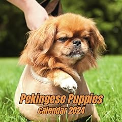 Pekingese puppies calendar for sale  Delivered anywhere in UK