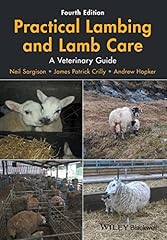 Practical lambing lamb for sale  Delivered anywhere in UK