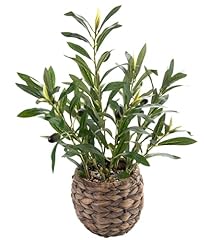 Ainuowei indoor fake for sale  Delivered anywhere in USA 