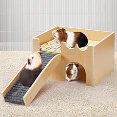Upgraded guinea pig for sale  Delivered anywhere in USA 