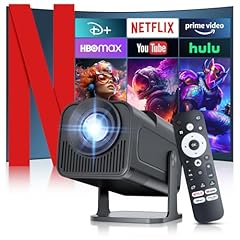 2025 netflix licensed for sale  Delivered anywhere in USA 