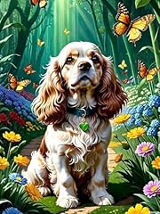 American cocker spaniel for sale  Delivered anywhere in USA 