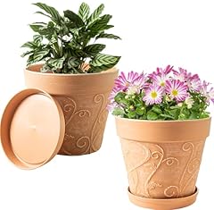 Plant pots indoor for sale  Delivered anywhere in USA 