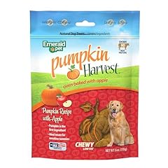 Emerald pet pumpkin for sale  Delivered anywhere in USA 