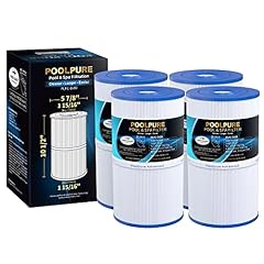 Poolpure 6430 spa for sale  Delivered anywhere in USA 