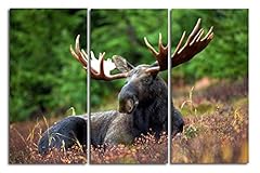 Bull moose art for sale  Delivered anywhere in USA 