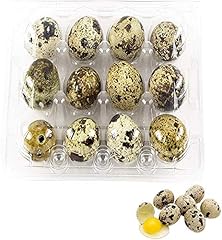 50pcs quail eggs for sale  Delivered anywhere in UK
