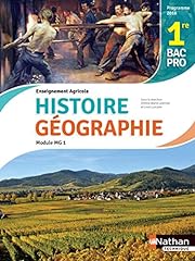 Histoire géographie 1re d'occasion  Livré partout en France