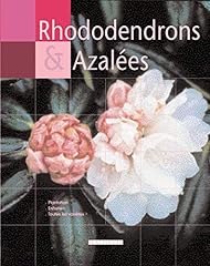 Rhododendrons azalées d'occasion  Livré partout en France