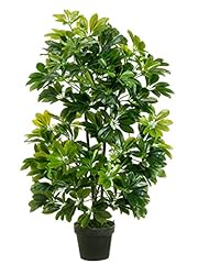 One inch indoor for sale  Delivered anywhere in USA 