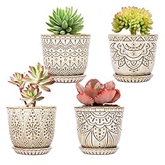 Gepege succulent pots for sale  Delivered anywhere in USA 