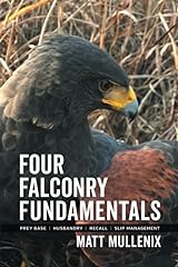 Four falconry fundamentals for sale  Delivered anywhere in Ireland