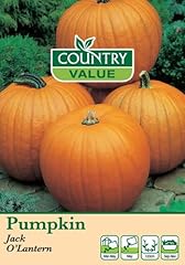 Country value pumpkin for sale  Delivered anywhere in UK