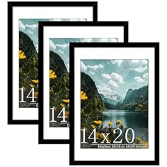Picrit 14x20 picture for sale  Delivered anywhere in USA 