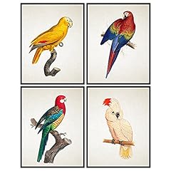Bird wall decor for sale  Delivered anywhere in USA 