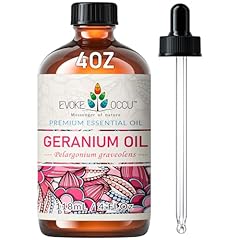Evoke ccu geranium gebraucht kaufen  Wird an jeden Ort in Deutschland