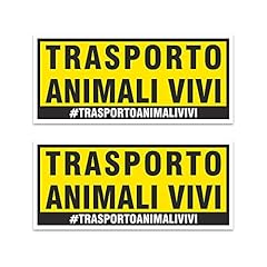 Quattroerre.it adesivi traspor usato  Spedito ovunque in Italia 