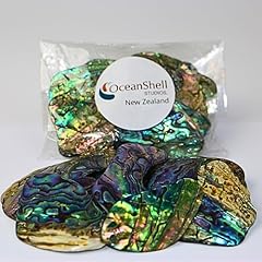 Abalone shell pieces for sale  Delivered anywhere in USA 