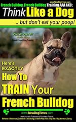 French bulldog french for sale  Delivered anywhere in USA 
