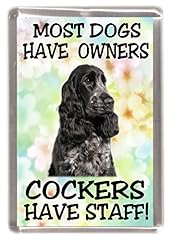 Cocker spaniel dog for sale  Delivered anywhere in UK