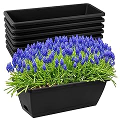 8pcs window box for sale  Delivered anywhere in USA 
