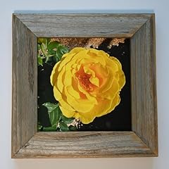 Moving truths rustic for sale  Delivered anywhere in UK