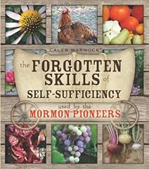 Forgotten skills self for sale  Delivered anywhere in USA 