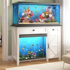 Saudism gallon aquarium for sale  Delivered anywhere in USA 